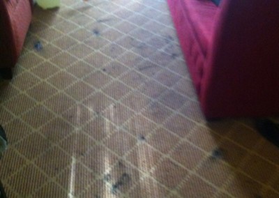 Burlingame-Carpet-Clean-before