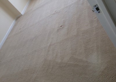 Burlingame-Carpet-Clean-room