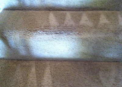 Burlingame-Stairs-Carpet-Cleaning