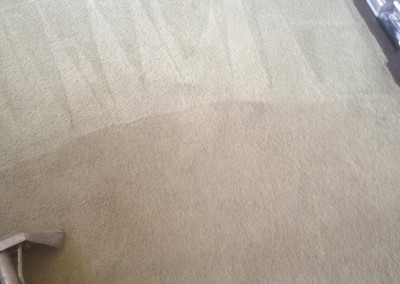 Carpet-Cleaning-Burlingame
