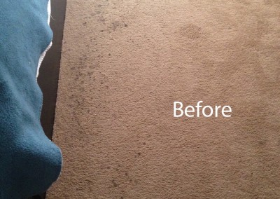 ink stain removal Burlingame-A